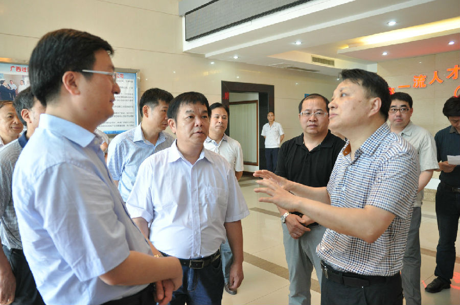 國務(wù)院督察組來廣西銀億公司視察