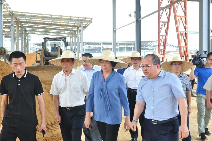 自治區(qū)黨委常委、副主席嚴植嬋一行蒞臨廣西銀億調(diào)研